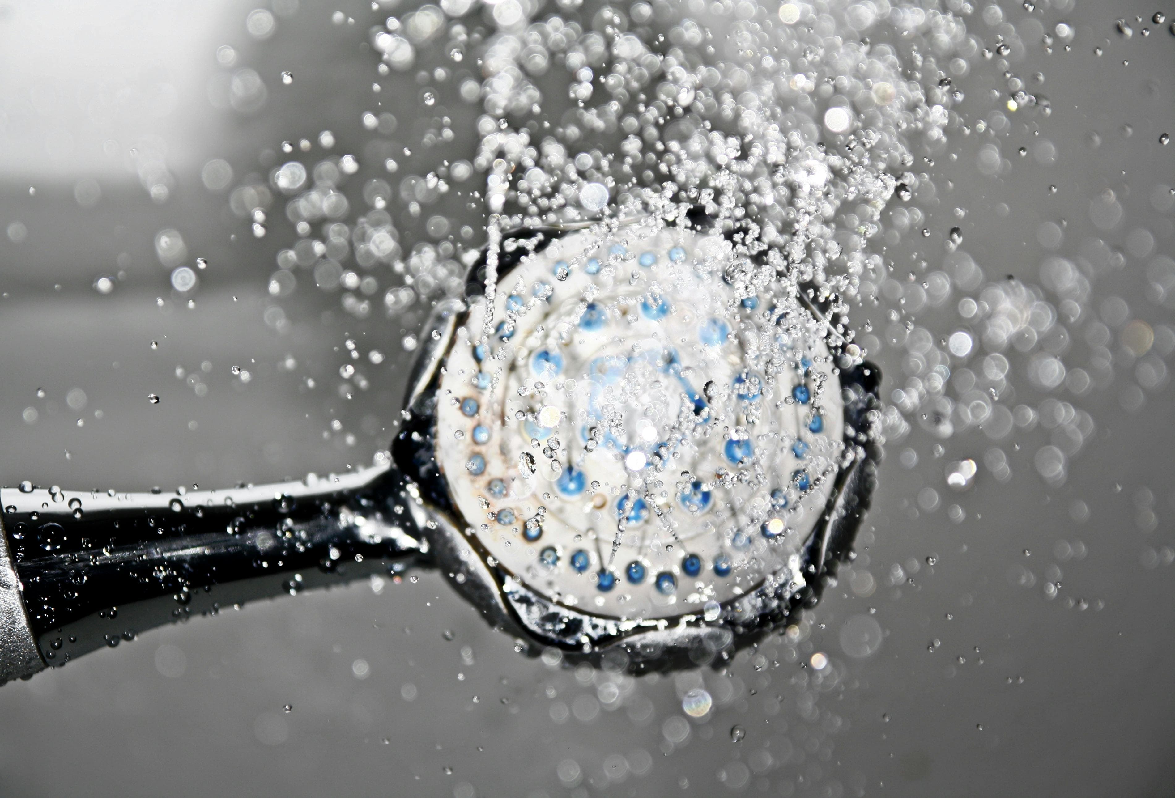 Shower Filter